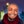 Ray Salmond
